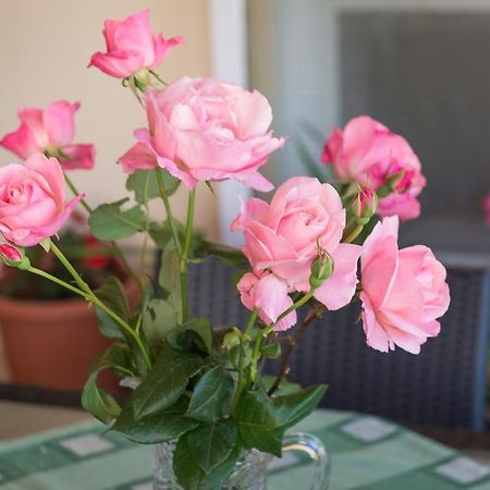 Apartment Timea Дубровник Екстериор снимка